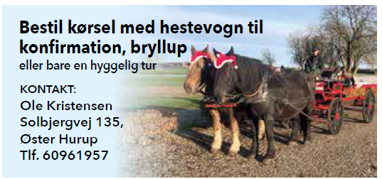 Hestevogns kørsel